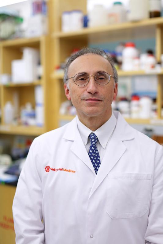 Dr. Rafii 